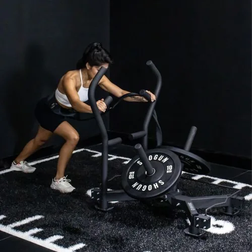 Shogun NORD-EX training sled