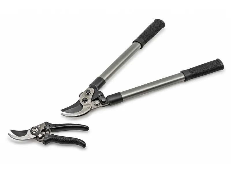Bypass secateurs beside long-handled bypass loppers with tubular steel handles